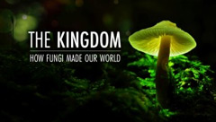 The Kingdom: How Fungi Made Our World