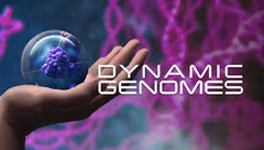 Dynamic Genomes