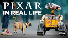 Pixar In Real Life