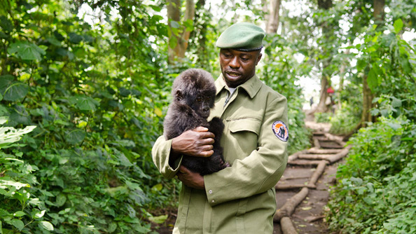 Virunga