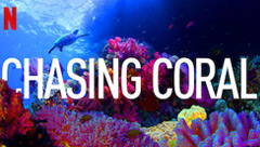 Chasing Coral