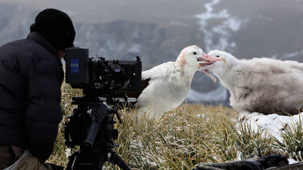 Our Planet - Behind the Scenes