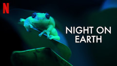 Night on Earth