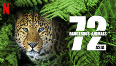 72 Dangerous Animals: Asia - Only on Streaming