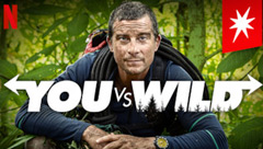 You vs. Wild