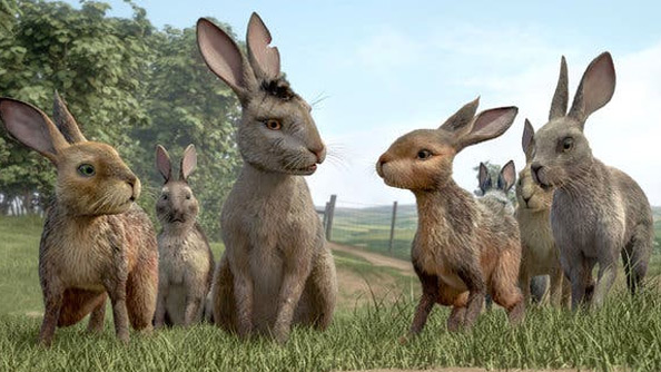 Watership Down